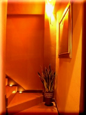 steps to basement